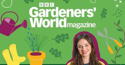 Frances Tophill – Discovering My New Garden - gardenersworld.com - France