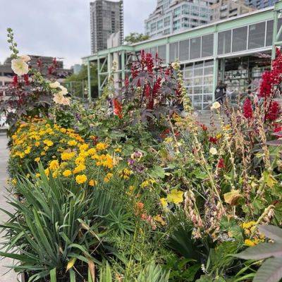 GPOD on the Road: Pike Place Market - finegardening.com - city Seattle