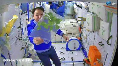 Chinese Astronauts Celebrate a Good Lettuce Harvest - theunconventionalgardener.com - China