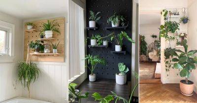 9 DIY Vertical Pegboard Garden Ideas to Grow More Plants - balconygardenweb.com