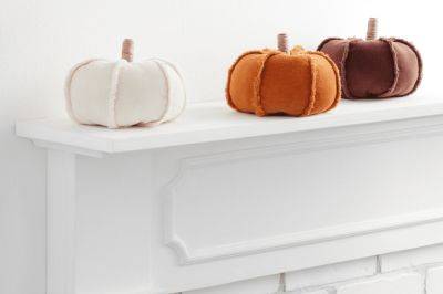 11 Velvet Accessories Under $50 to Warm Up Your Home This Fall - thespruce.com