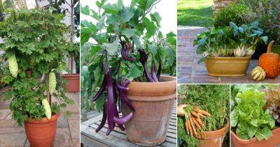 25 Most Productive Vegetables for Containers | Best Vegetables for Pots - balconygardenweb.com