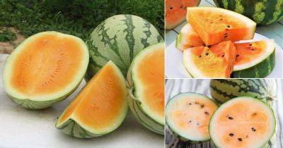 7 Best Orange Watermelon Varieties - balconygardenweb.com