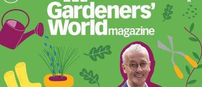 How To Make A Garden That's Fuss-free And Fabulous - gardenersworld.com - Britain