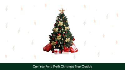 Can You Put A Pre-lit Christmas Tree Outside? - homesthetics.net