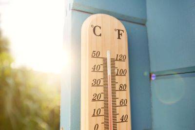 Do's and Don’ts for Gardening in a Heat Wave - treehugger.com