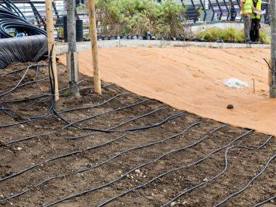 Subsurface Drip Irrigation For Lawns & Home Landscapes - gardeningknowhow.com