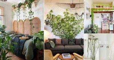 34 Fabulous Indoor Vine Garden Ideas - balconygardenweb.com