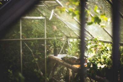 How to Grow More with Greenhouse Maintenance - blog.fantasticgardeners.co.uk