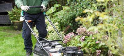 What Does Garden Maintenance Include? - Explained by Fantastic Gardeners - blog.fantasticgardeners.co.uk