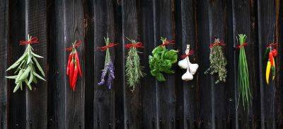 How to Grow a Herb Garden: The Insider's Guide - blog.fantasticgardeners.co.uk