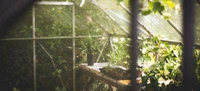 Polytunnel or Greenhouse – Which One Is Better? - blog.fantasticgardeners.co.uk