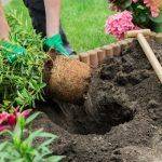 Secrets to the Perfect Lawn: Care Tips for Beginners by Fantastic - blog.fantasticgardeners.co.uk - Britain
