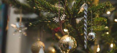 The Ultimate Christmas Tree Decoration Guide - Fantastic Gardeners - blog.fantasticgardeners.co.uk - Germany