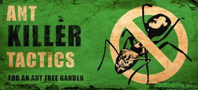 How to Get Rid of Ants in the Garden - Tips by Fantastic Gardeners - blog.fantasticgardeners.co.uk - Brazil - county Garden