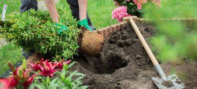 Simple as ABC: 8 Gardening Tips for Beginners - Fantastic Gardeners - blog.fantasticgardeners.co.uk - Britain