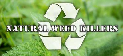 14 Natural and Eco-Friendly Weed Killers for Your Garden - FG UK - blog.fantasticgardeners.co.uk - Britain