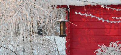 How to Protect Your Garden Plants This Winter - Fantastic Gardeners - blog.fantasticgardeners.co.uk