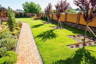 How to Avoid Summer Drought Stress Damage to Your Lawn - FG - blog.fantasticgardeners.co.uk