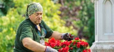 Choices, Choices… How to Find a Reliable Local Gardener - blog.fantasticgardeners.co.uk