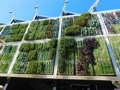 Vertical Gardens – What Has Been Driving Plants up the Wall? - blog.fantasticgardeners.co.uk - France - county Garden