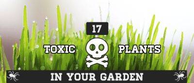 Poisonous Plants: 17 Toxic Plants In Your Garden - Fantastic Gardeners - blog.fantasticgardeners.co.uk - China - Japan