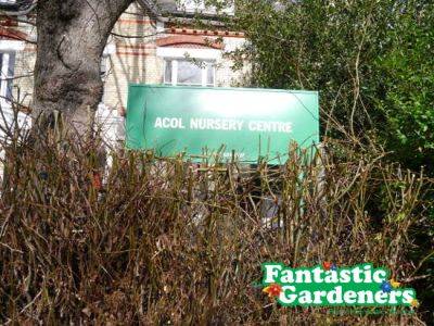 Acol Nursery Gets a New Look - Fantastic Gardeners UK - blog.fantasticgardeners.co.uk - Britain