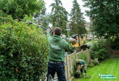 Fantastic Gardeners - 2015 in Garden Jobs - blog.fantasticgardeners.co.uk - county Garden