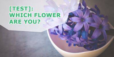 What Flower Am I? - Personality Quiz - Fantastic Gardeners UK - blog.fantasticgardeners.co.uk - Britain