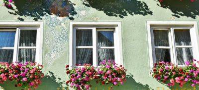 Why You Need Window Boxes? - Explained by Fantastic Gardeners - blog.fantasticgardeners.co.uk