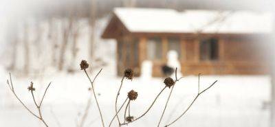 How to Prepare a House for Winter - Fantastic Gardeners - blog.fantasticgardeners.co.uk