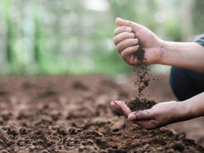 Soil Conservation: How To Protect The Soil For Better Plants - gardeningknowhow.com - Usa