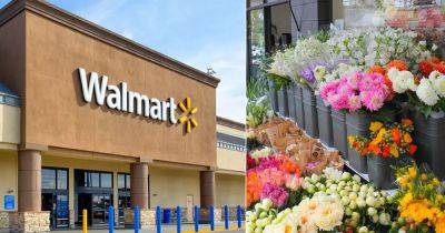 Does Walmart Sell Flowers? Find Out! - balconygardenweb.com