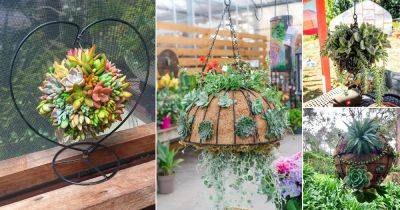 32 Creative Succulent Ball Ideas For Home and Garden - balconygardenweb.com