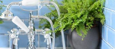 Best Plants for a Bathroom - gardenersworld.com