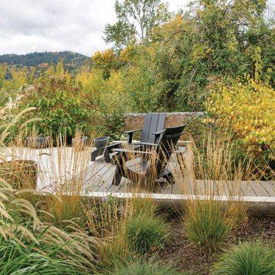 Planting Plan for a Landscape with Challenging Conditions - finegardening.com - Britain - Iran - Japan - state Oregon - state Arkansas