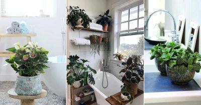 12 Rainforest Plants to Grow in Bathroom - balconygardenweb.com - city Boston