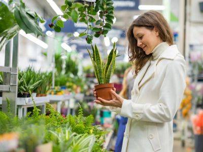 Why Impulse Buying A Plant Is A Terrible Idea - gardeningknowhow.com