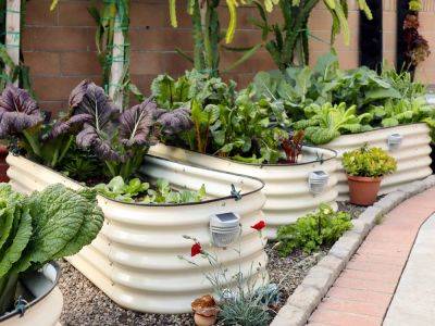 Vego: The Best Raised Beds for Gardening Sustainably - gardeningknowhow.com