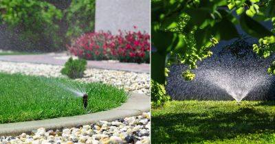 Best Time to Water Lawn in Hot Weather - balconygardenweb.com