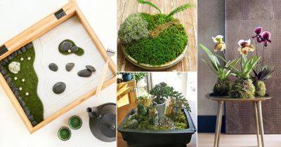 15 Awesome Indoor Garden Ideas to Steal from Japan - balconygardenweb.com - Japan
