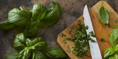 How to Grow Basil Indoors and in Your Garden - goodhousekeeping.com
