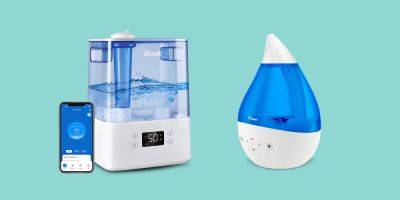 8 Best Plant Humidifiers of 2023 - goodhousekeeping.com