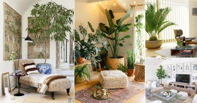 21 Tall Plants for Living Room Corner Ideas - balconygardenweb.com