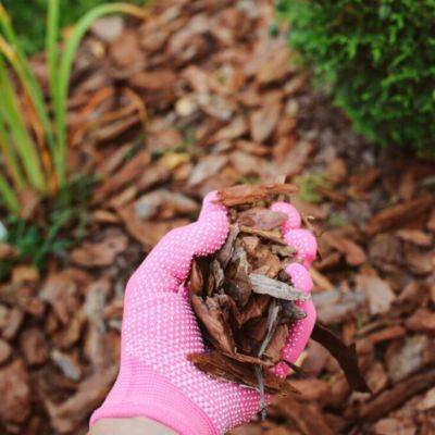 The Ultimate Guide to Bark Chippings and Play Bark in the UK - gardencentreguide.co.uk - Britain