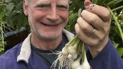 How to grow MANY bunches of spring onions / scallions in one pot - verticalveg.org.uk