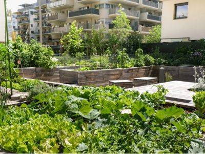 Learn How Community Gardening Can Lower Crime Rates - gardeningknowhow.com