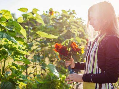 The Best Way To Cut Flowers For Longer Lasting Bouquets - gardeningknowhow.com