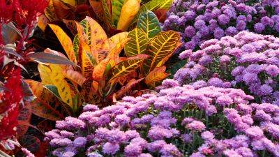 Easy-Care Fall Garden Planting Ideas - gardengatemagazine.com