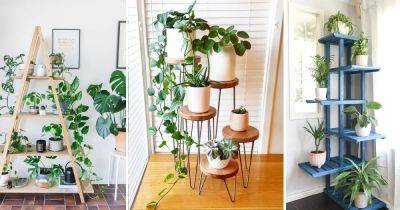 25 Indoor Plant Stands Ideas for Showcasing Multiple Plants - balconygardenweb.com